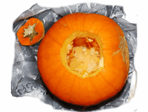 hollowed out pumpkin