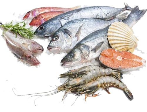 fresh fish and shellfish