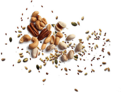 seeds and nuts