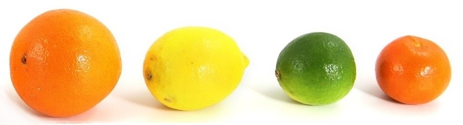 citrus fruits