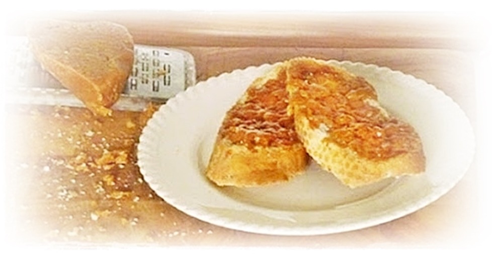 fudge on toast