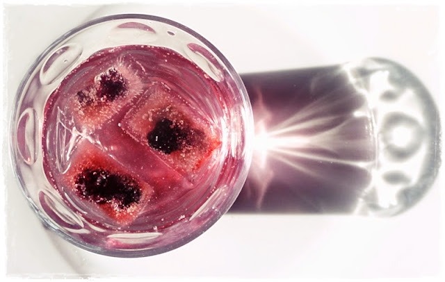 blackberies frozen in ice cubes